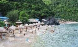 Travellers urged to discover most beautiful beaches in Vietnam